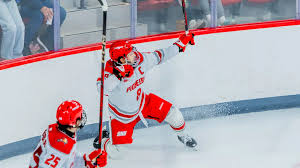 The Two-Week Sports Ledger